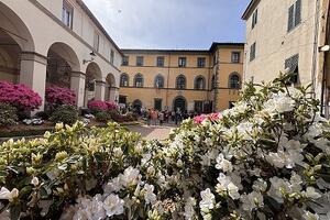 A Borgo a Mozzano torna la fiera dell&#039;aglio e delle cipolle