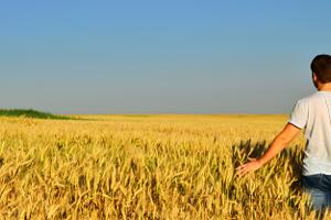 Da oggi le domande per il finanziamento di 70 mila euro per giovani agricoltori