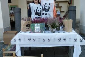 Successo per il gazebo di Piccole Cucce a sostegno del WWF