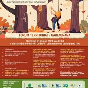 programma forum APE TOE 19062024 Castelnuovo G