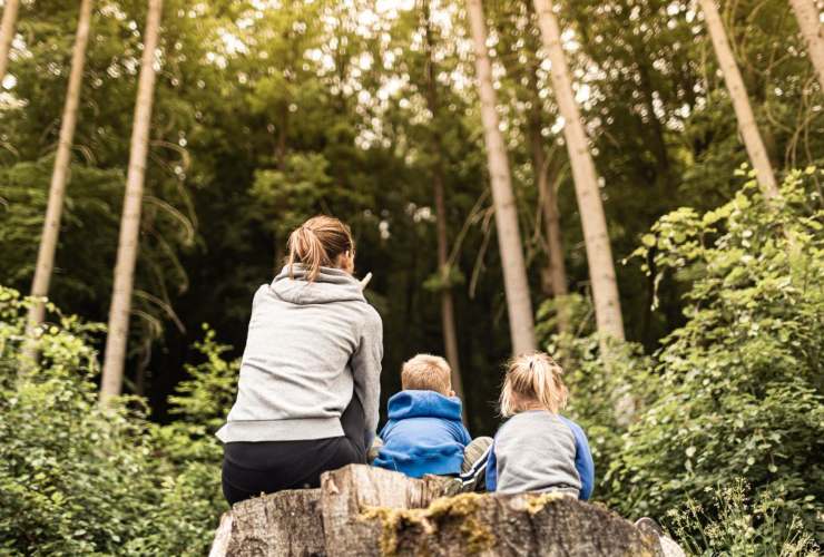 Ritirato cibo per bambini 