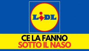 Logo LIDL - Lagazzettadelserchio.it