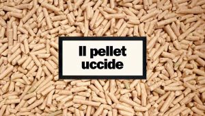 Pellet