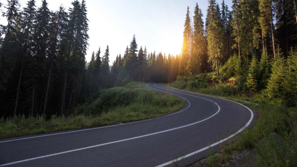 Strada tra i boschi all'imbrunire